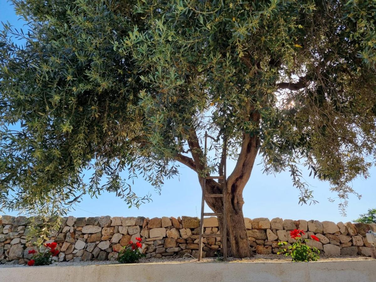 Villa Bei tempi Polignano a Mare Exterior foto